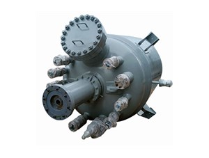 加氫反應(yīng)釜的應(yīng)用和規(guī)格